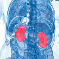 Blue X-ray highlighting red kidneys