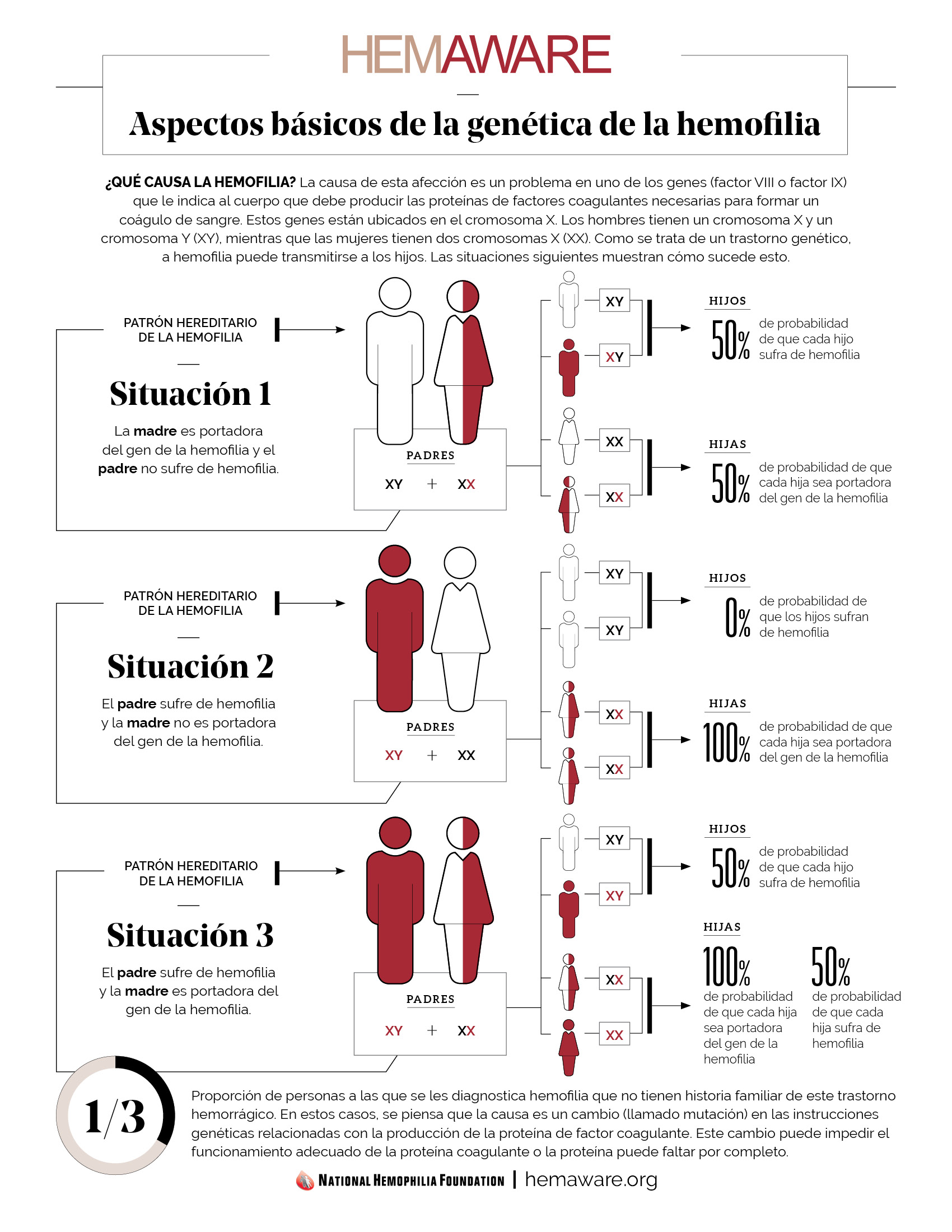 Infographic Hemophilia Genetics Spanish