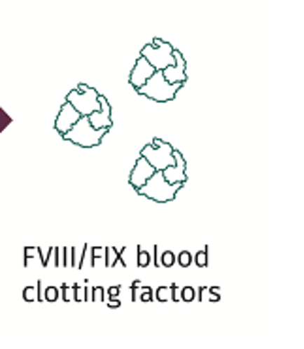 factor blood clots