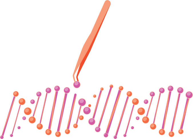 Facts Hemdifferently gene editing helix