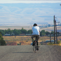 Pete Wells biking into horizon