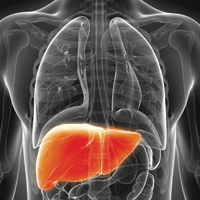  Black and white X-ray highlighting orange liver