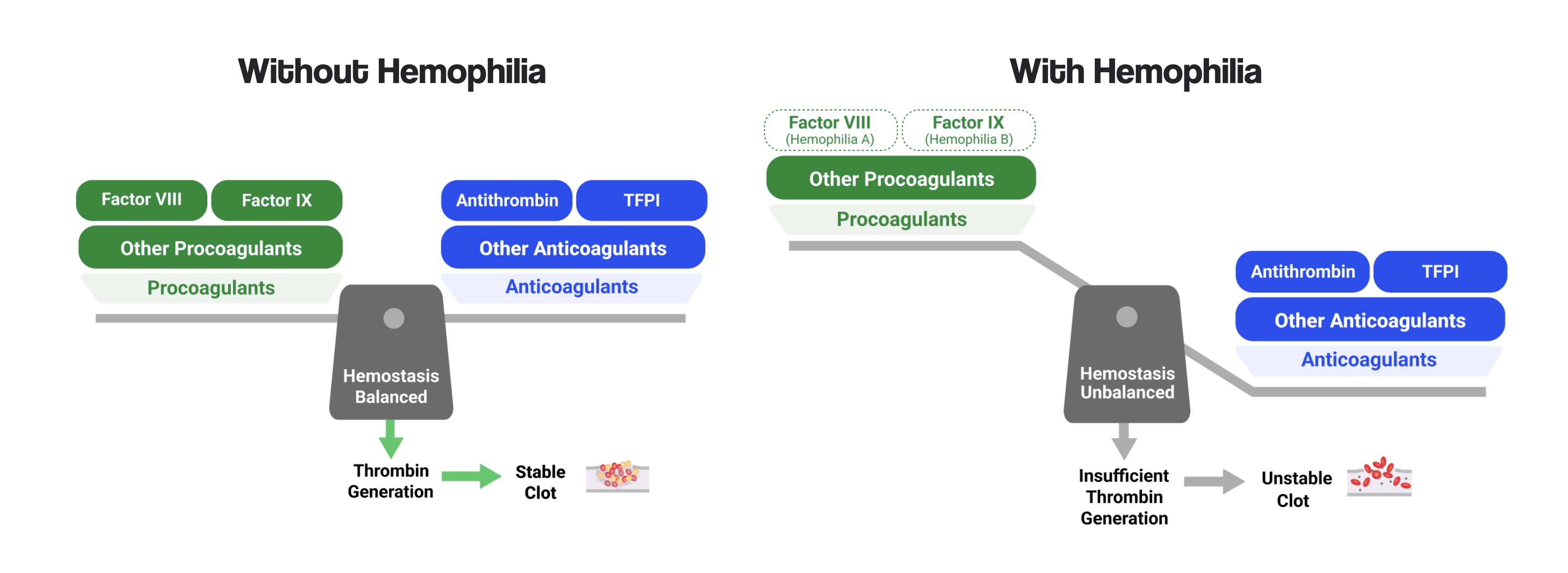 The importance of balance in hemophilia