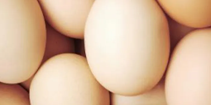 Eggs are a common allergy