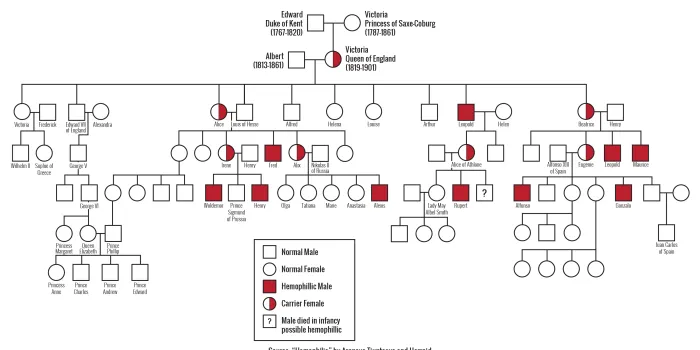 romanov family tree
