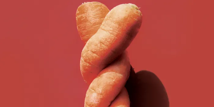 Intertwined carrots