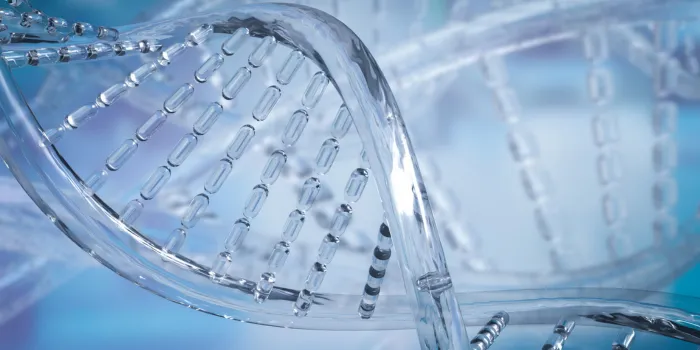 DNA