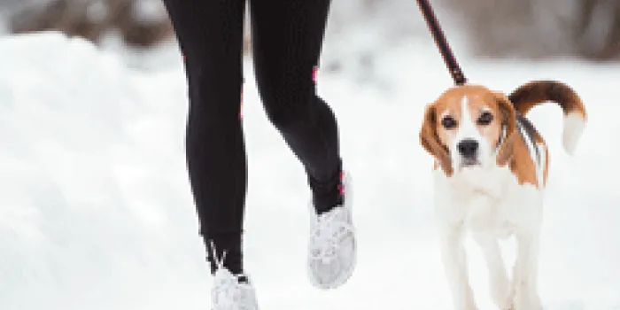 Woman walking dog in snow