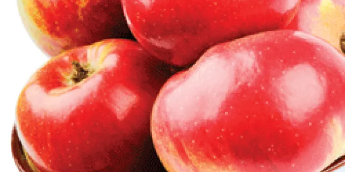 Bowl full of shiny red apples