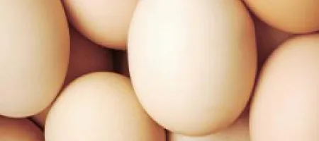 Eggs are a common allergy