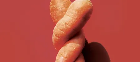 Intertwined carrots