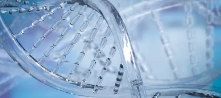 DNA
