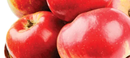 Bowl full of shiny red apples