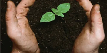 Hands scooping dirt with seedling