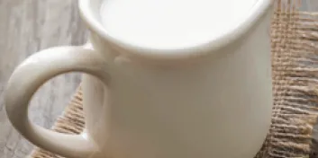 Small white pitcher of milk